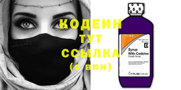 хмурый Белокуриха