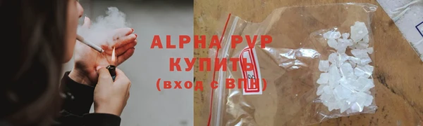 стаф Белоозёрский
