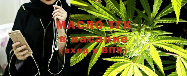хмурый Белокуриха